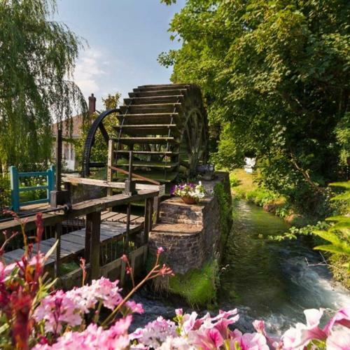 Le Clos Saint Vincent Manneville-ès-Plains Eksteriør billede